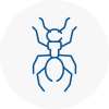 Ant Removals In Sw15