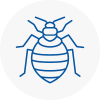 Bed Bug Extermination In Sw15