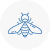 Bee Nest Removal Sw15