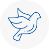Bird Prevention Sw15