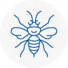 Sw15 Hornet Nest Removals