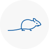 Mice Exterminators In Sw15