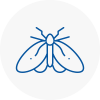 Moth Control Specialists In Sw15