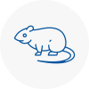 Rat Control Sw15
