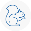 Sw15 Rodent Removals