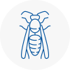 Sw15 Wasp Nest Removal